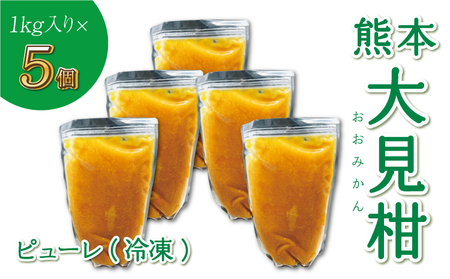 熊本大見柑ピューレ 冷凍 1kg 5個