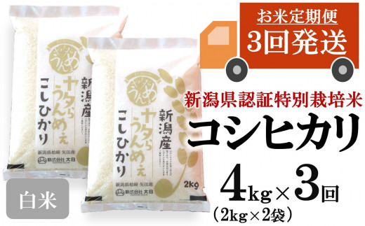【令和8年産新米・3ヶ月定期便】コシヒカリ 白米 4kg（2kg×2袋）×3回（計 12kg）ヤタらうんめぇ お米 新潟県産 小分け 水田環境鑑定士在籍[Y0202]