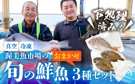 旬の鮮魚 おまかせ3種セット 加熱用 下処理済み 捌き済み 簡単 鮮魚 魚介類 魚セット 愛知県 田原市 海鮮 魚介類 魚 3枚おろし 開き  おすすめ 料理 調理 簡単調理 手軽