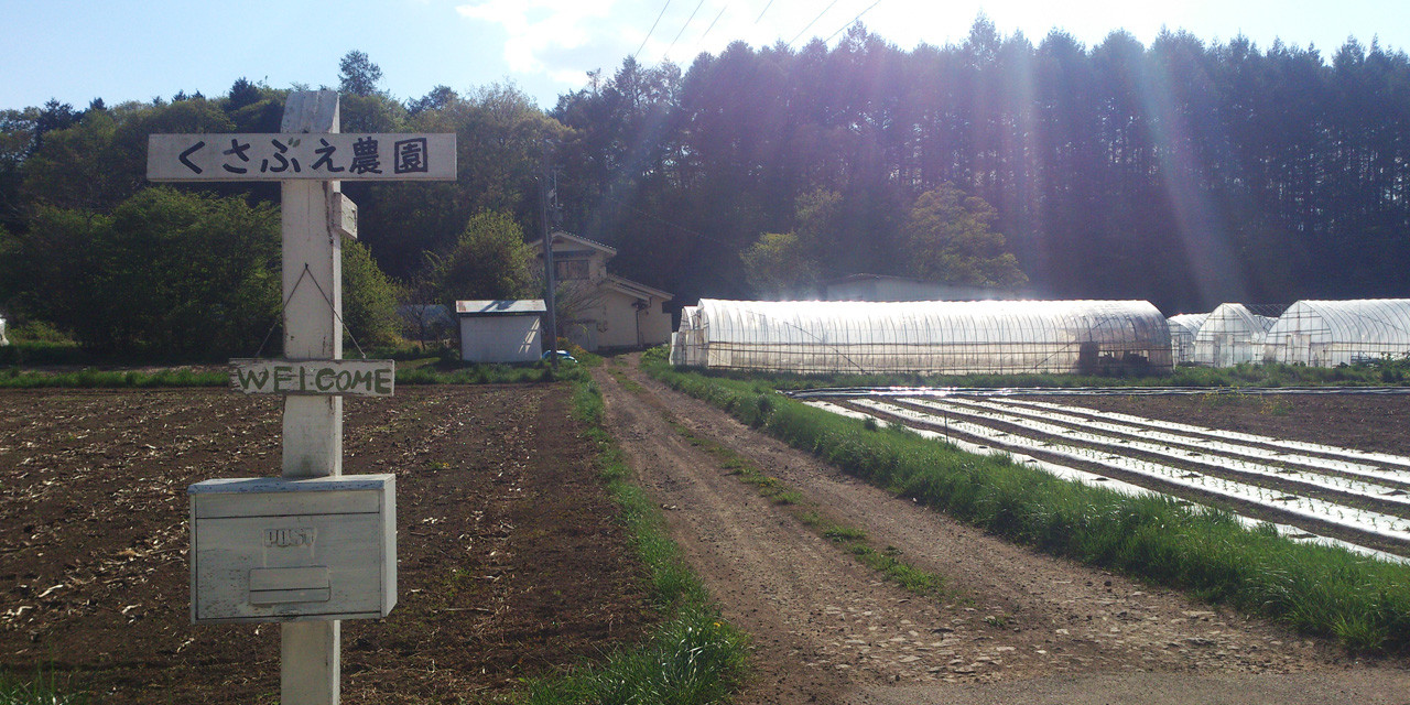 くさぶえ農園 夏の野菜セット