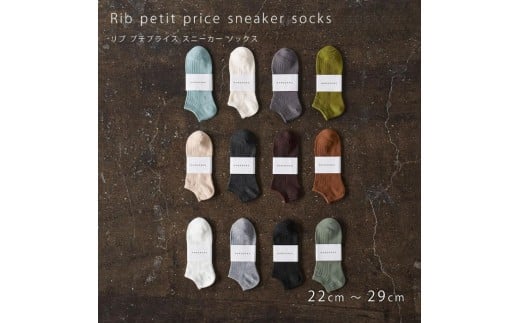 リブカラー スニーカーソックス 靴下 5P set【22cm～24cm】HARUSAKU ハルサク リブ  カジュアル シンプル スニーカー ソックス 通勤 通学 スタイル プチプラ 組み合わせ セッ
