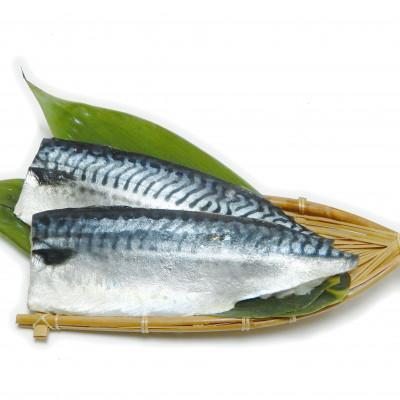 ふるさと納税 神栖市 【毎月定期便】訳あり規格外　塩さば　1.9kg 全3回 |  | 01
