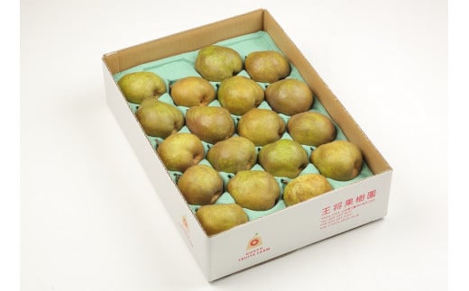 07-03-052　ラ・フランス5kg