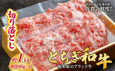 とちぎ和牛の切り落とし 1kg（200g×5）【栃木県共通返礼品】 | 和牛 切り落とし 栃木県 茂木町