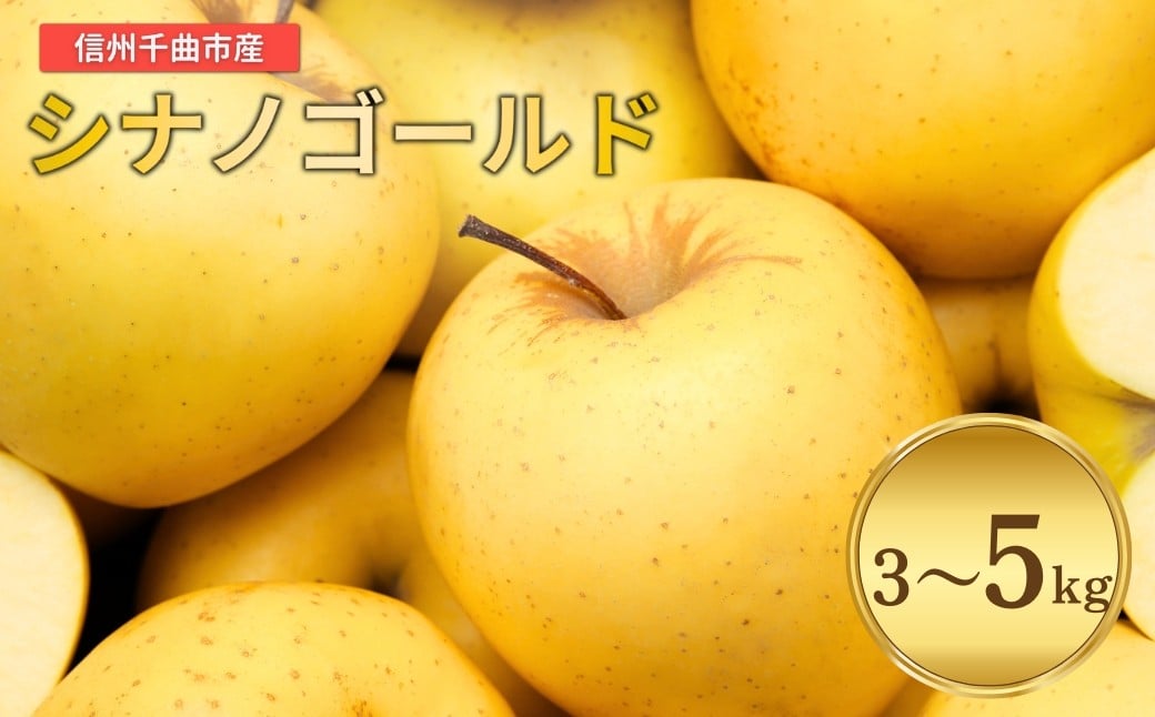 
                  【2026年先行予約】りんご シナノゴールド 約3kg / 5kg｜ リンゴ 林檎 フルーツ 果物 信州りんご 長野県産 千曲市 信州
                