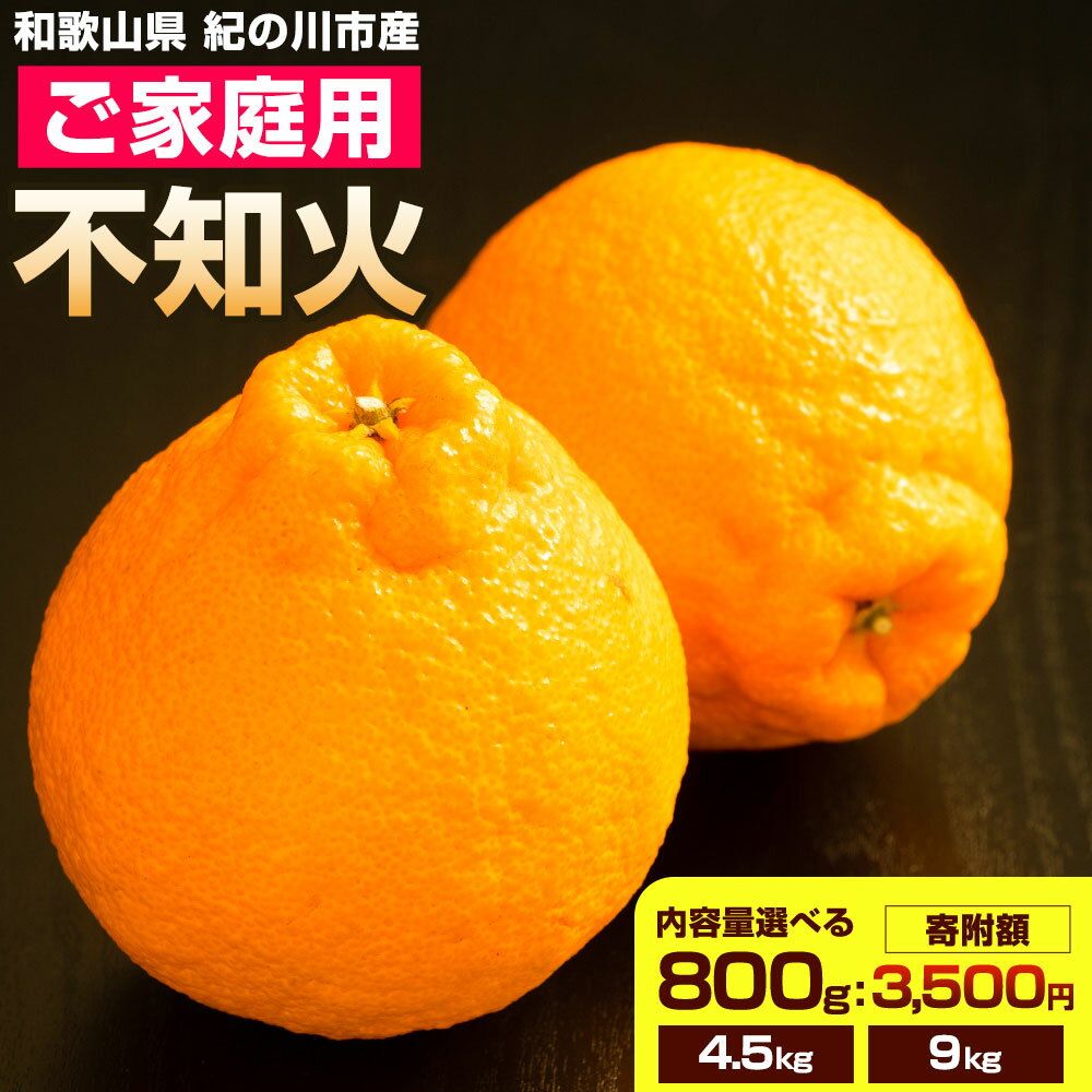 【ふるさと納税】ご家庭用 不知火 選べる 内容量 約800g 約4.5kg 約9kg《2027年2月下旬-2027年4月中旬頃出荷》たっぷり しらぬい ご家庭用 柑橘 柑橘類 ミカン 蜜柑 果物 フルーツ 和歌山県 紀の川市 甘い ジューシー デコポン と同品種 しらぬい 訳あり 規格外 訳あり 傷