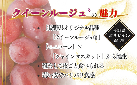 【2026年先行予約】クイーンルージュ® 約1kg|クイーンルージュ ぶどう
