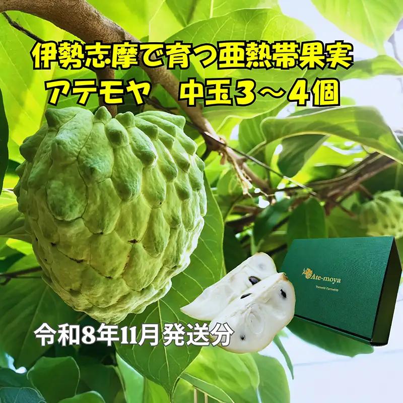 伊勢志摩産 アテモヤ 中玉３～４個 約1.2kg やまで農園 令和8年11月発送 世界三大美果 果物 ふるさと 納税 くだもの フルーツ 森の アイス クリーム 送料無料 産直 事前予約 三重 南伊勢