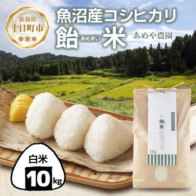 ふるさと納税 十日町市 【令和8年産 新米】 魚沼産 コシヒカリ 10kg 精米 産地直送 新潟県十日町市 あめや農園