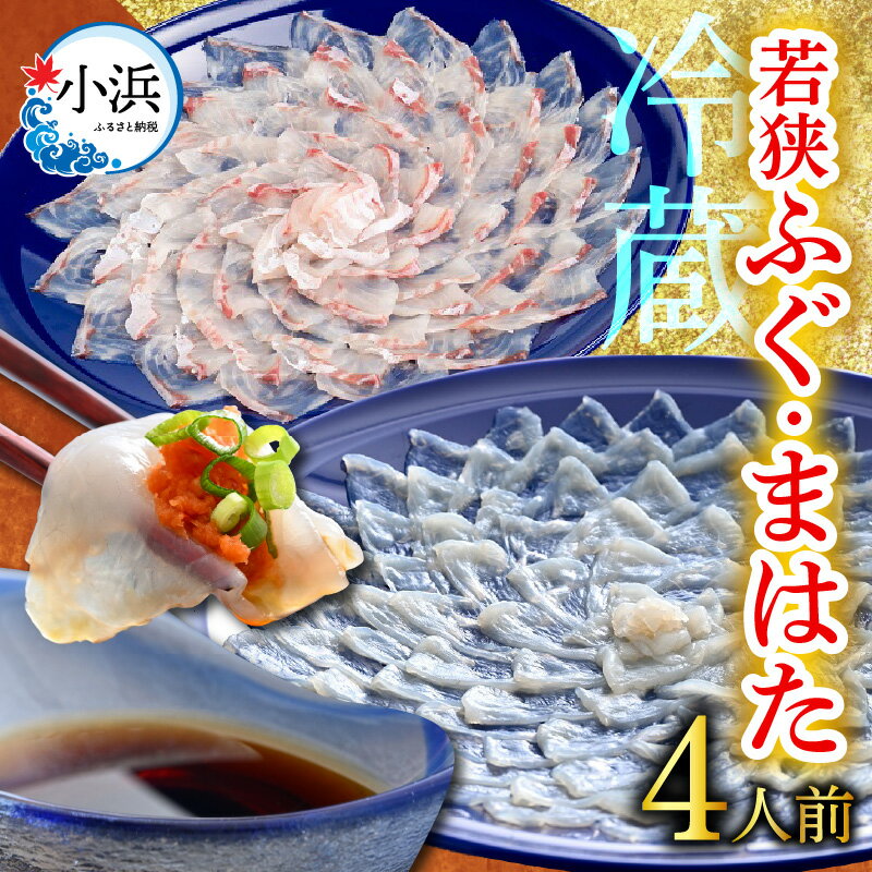 【ふるさと納税】【着日指定】 【冷蔵でお届け】 「若狭ふぐのてっさ」と「若狭まはたのお刺身」セット 4人前 / 養殖 養殖魚 産地直送 ブランド ふぐ 小浜市 / 若狭ふぐの宿 下亟 【配送不可地域：北海道・沖縄・離島】 [BFAF020]