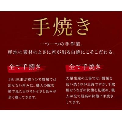 ふるさと納税 大崎町 鹿児島県大隅産　千歳鰻の白焼鰻「大」2尾 |  | 03
