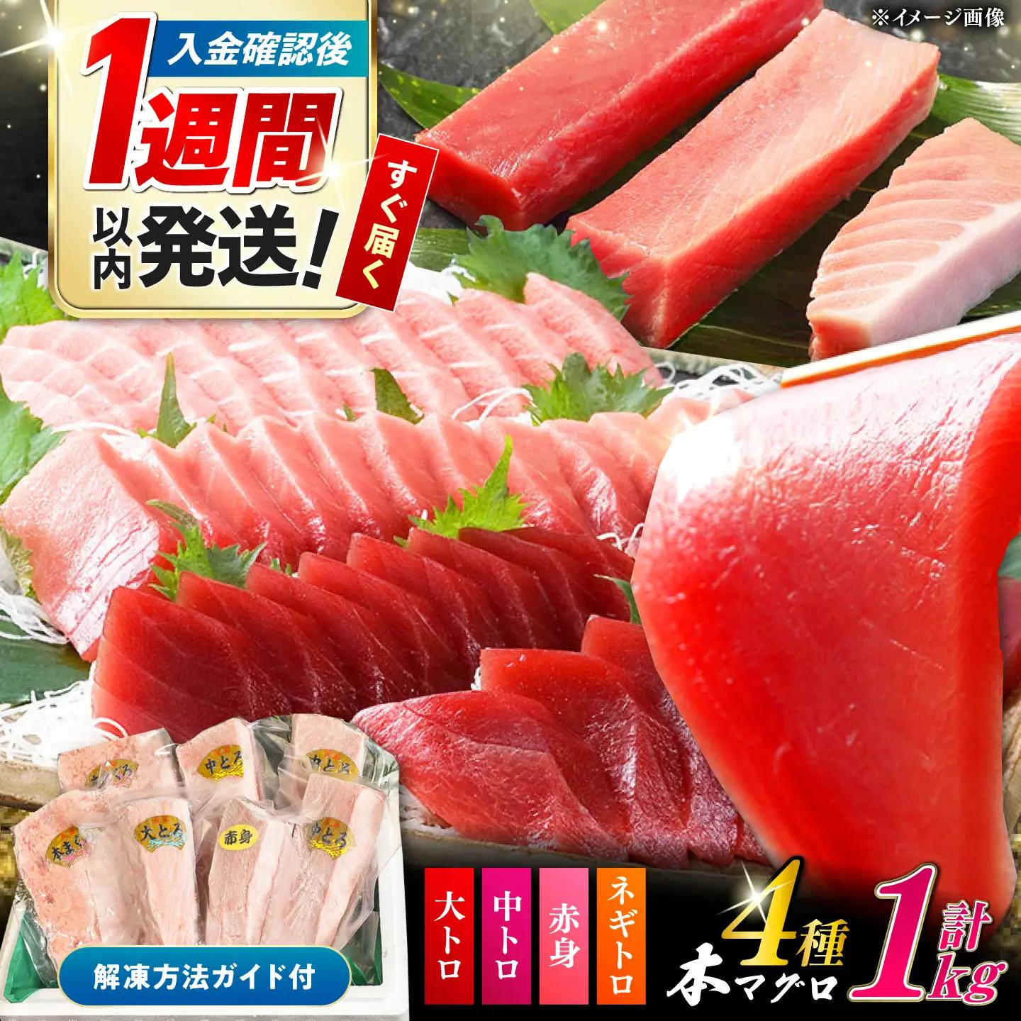 【1週間以内発送】対馬産 本マグロ 計1kg（赤身 中トロ 大トロ ネギトロ）まぐろ 国産 [WAH004]
