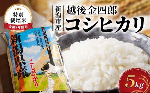 
                  令和7年度米 新潟市産 越後金四郎コシヒカリ（特別栽培米）5kg
                