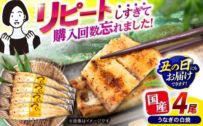 
            【最速発送】＜諫早淡水＞うなぎ白焼き4尾 / うなぎ ウナギ 鰻 白焼き 白焼 しらやき 冷凍 国産 小分け / 諫早市 / 活うなぎ問屋 諫早淡水 [AHAT012]  最速 最短 スピード 発送
          