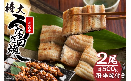 【土用の丑の日（7/26）までにお届け！（7/16（木）入金まで対応）】三河一色産　最高級うなぎセット 特大2尾（白焼2尾）計500g（冷蔵配送）（3638）（3638）
