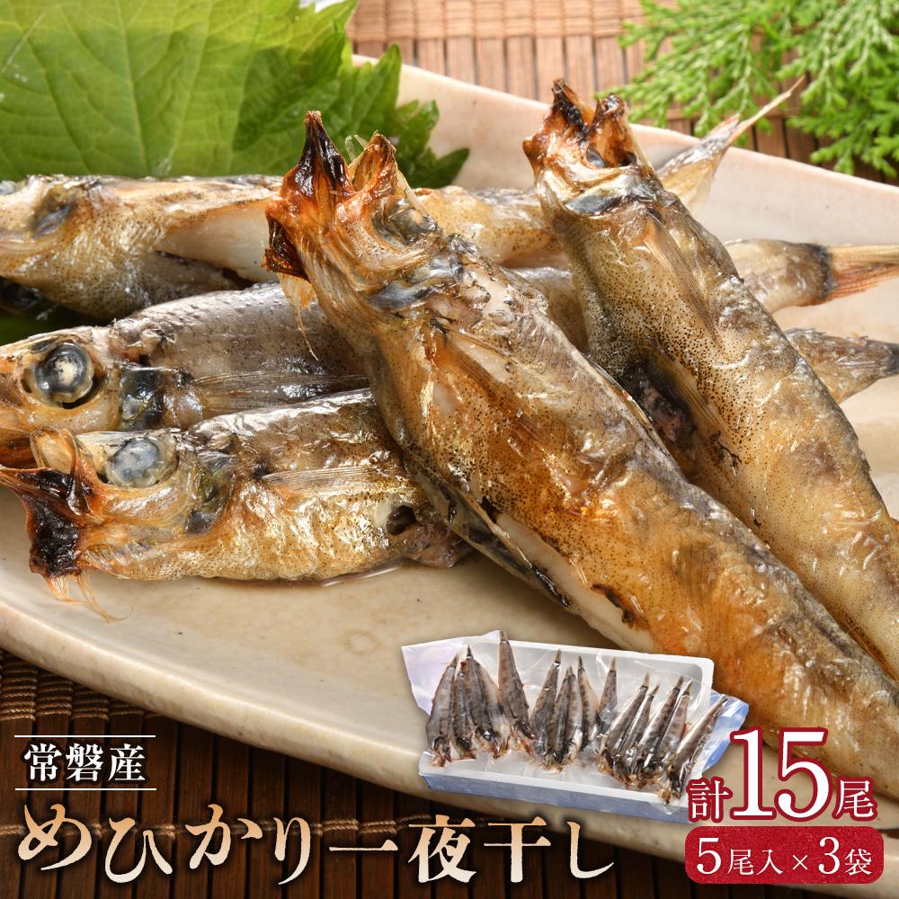 【ふるさと納税】常磐産めひかり一夜干し　15尾