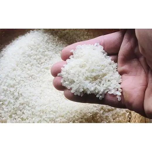 石垣島産 星の美(かい)しゃ 10kg みやぎ米屋 　MK-4 