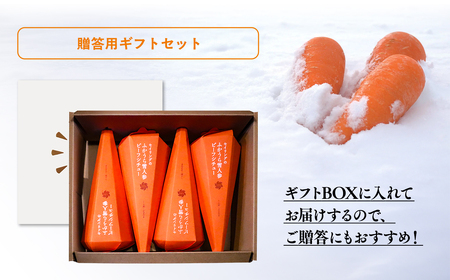 雪人参 ビーフシチュー 220g×4個 [fu-0001-002]