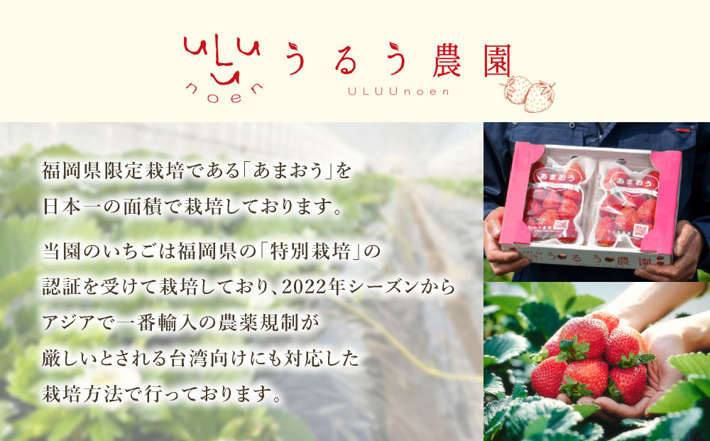 【2027年3月～4月発送】うるう農園のあまおう(2Lサイズ)約220g×4P(約880g) あまおう(2Lサイズ) 約220g×4P(約880g)