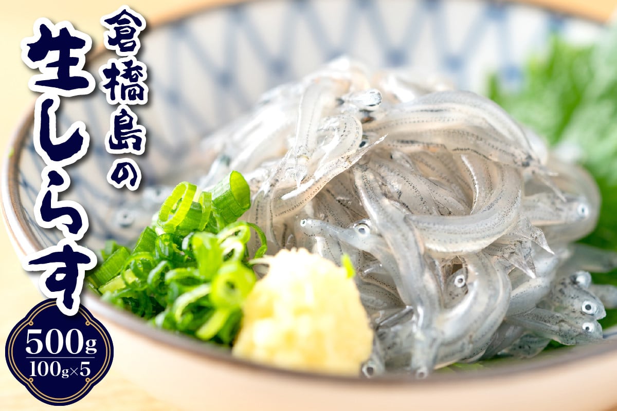 
            【先行受付】生シラス500g (100g×5個)
          
