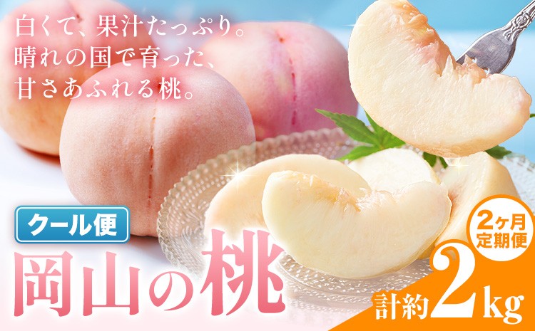 
                  【2ヶ月定期便】桃 岡山の桃 約1kg(3～5玉)×2回発送《7月上旬-8月末頃発送》岡山県 笠岡市 白桃 岡山 はくとう スイーツ フルーツ 果物 デザート 旬 モモ もも 送料無料 果物 清水白桃 白鳳 白麗 クール便
                