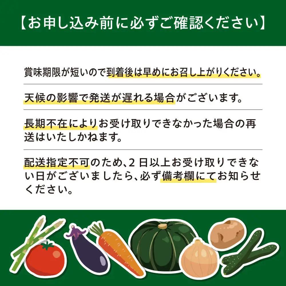 【先行予約】青肉メロン 大玉2玉 [AJAH030] メロン