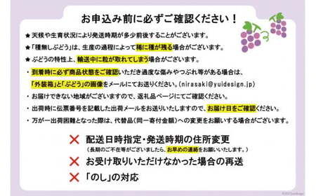 【2025年発送】山梨県産 ハウスピオーネ 2房 約1.0kg [全国農業協同組合連合会 山梨県本部 山梨県 韮崎市 20742856] ぶどう ブドウ 葡萄 ピオーネ 1キロ フルーツ 果物 JA全