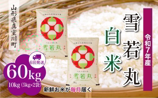 ＜令和7年産米＞ 雪若丸 【白米】 定期便 60kg （10kg×1ヶ月間隔で6回お届け）＜配送時期指定可＞　山形県真室川町