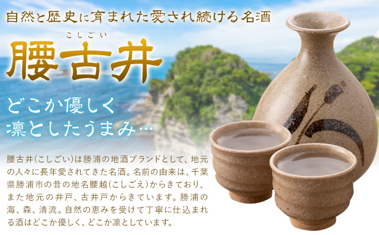 腰古井 大吟醸 720ml 1本 有限会社 滝口商店《30日以内に出荷予定(土日祝除く)》千葉県 勝浦市 日本酒 酒 大吟醸