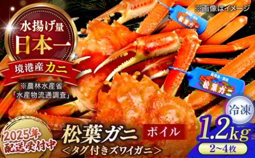 【12/20まで年内発送】カニ 急速冷凍で旨みをぎゅっと閉じ込めた! 松葉がにボイル姿1.2kg以上(2~4枚)島根県松江市/中浦食品株式会社 [ALBO003] ｜かに カニ 蟹 松葉ガニ 松葉がに 松葉蟹 冷凍 パーティー 家族 冷凍 魚 魚介 魚介類 海鮮 鍋 お取り寄せ グルメ ギフト プレゼント 贈り物 かに味噌 お祝い 年内発送 114000円