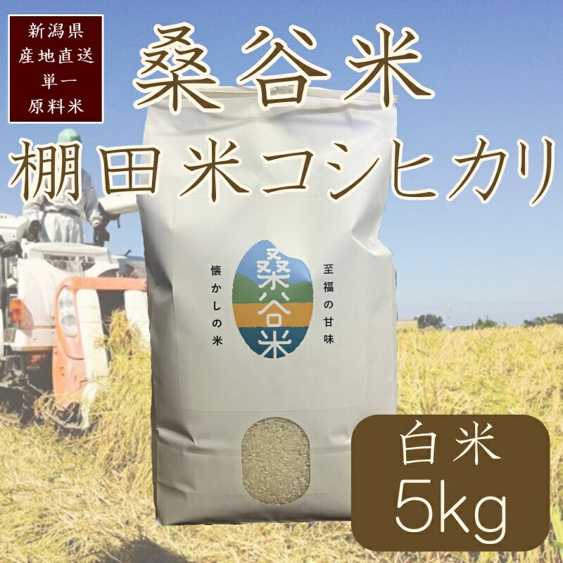 【ふるさと納税】令和7年産／桑谷ファーム／桑谷米（棚田米コシヒカリ）白米・5kg　 精米 こしひかり 新潟県産 米 お取り寄せ ブランド米