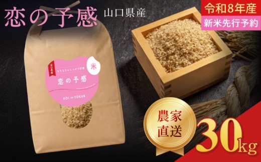 令和8年産  恋の予感 玄米 30kg (10kg×3袋)