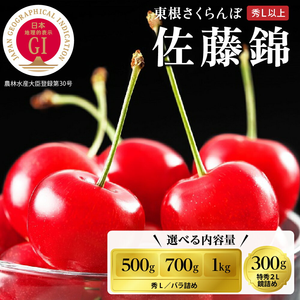 【ふるさと納税】2026年 GI 東根 さくらんぼ「佐藤錦」 ( 選べる内容量 : 鏡詰め : 300g / バラ詰め : 500g 700g 1kg )| サクランボ フルーツ 果物 くだもの 箱入り 化粧箱 贈り物 ギフト 贈答 冷蔵配送 先行予約 送料無料 山形県 東根市【2026/6/5～順次出荷予定】