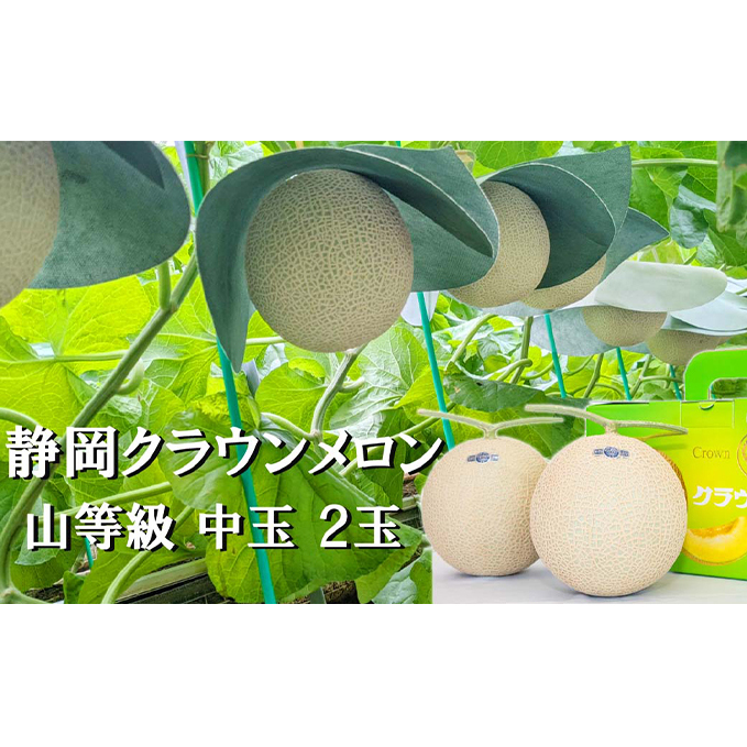 クラウンメロン【上（山等級）】中玉（1.3kg前後）2玉入り人気 厳選 ギフト 贈り物 デザート グルメ 果物 袋井市 果物類 メロン青肉 フルーツ 