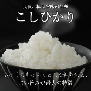 【3ヶ月定期便】こしひかり 10kg 令和7年産 コシヒカリ 定期便 お米 米