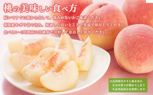 【先行予約】桃 約 2kg もも モモ 白桃 ピーチ 果物 くだもの フルーツ 果実 アイス ジェラート シャーベット ケーキ ジュース ジャム 飯山の桃 旬 新鮮 箱入り 冷蔵 贈答 ギフト プレゼ