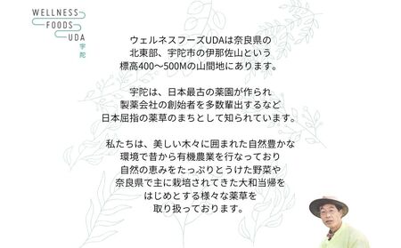 ミックス ハーブ 入浴剤 1箱(5包入)×2個／ ウェルネスフーズ UDA 大和当帰 薬草 リラックス ストレス解消 ボディケア 肌荒れ改善 疲労回復 大和当帰 ゆず レモングラス どくだみ 紫蘇 よ