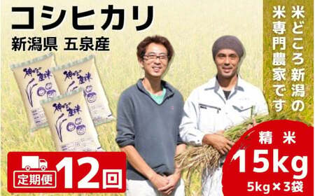 【令和6年産新米】〈12回定期便〉「わくわく農場」の五泉産 精米 コシヒカリ 15kg(5kg×3袋)［2024年10月中旬以降順次発送］ わくわく農場