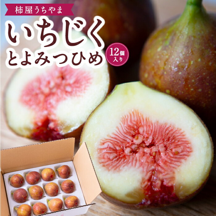 【ふるさと納税】【先行予約】柿屋うちやま いちじく とよみつひめ 12個入り 2025年7月下旬から9月中旬 出荷予定 イチジク 無花果 濃厚 果肉 オリジナル品種 贈答用 贈り物 プレゼント 冷蔵 送料無料 福岡県 うきは市