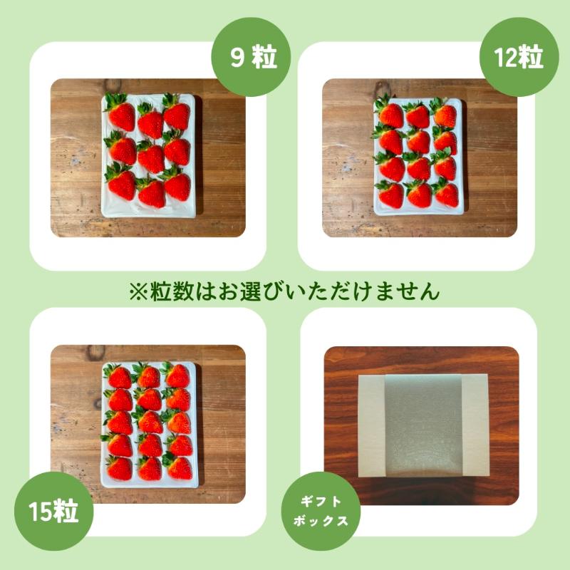 【先行予約｜2027年4月上旬より出荷開始】いちご 大粒 カラダよろこぶ 越後姫 約400g×1パック (9～15粒入り) 定植後化学農薬不使用 イチゴ 苺 渡辺農園 上越市 新潟県