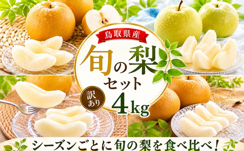 【訳あり】鳥取県産旬の梨セット 4kg