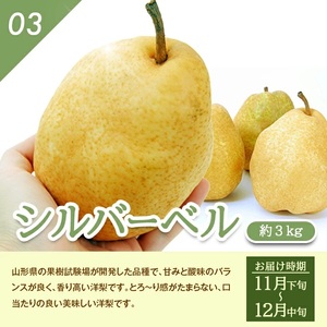 SE0299　【3回定期便】特選 庄内産 洋梨3種味比べ定期便2024 (洋梨〔品種おまかせ〕 、ラ・フランス、シルバーベル/各約3kg)