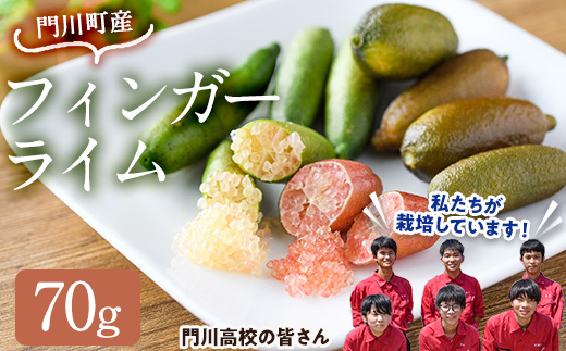 ＜数量限定・期間限定＞宮崎県門川町産フィンガーライム(70g) 柑橘 希少 ライム キャビアライム シトラス 高校生 門高 【AU-3】【宮崎県立門川高等学校】