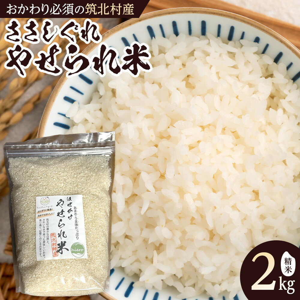 【ふるさと納税】先行予約【2026年11月上旬頃～順次発送予定】ちっくほっくふぁ～む　やせられ米2kg