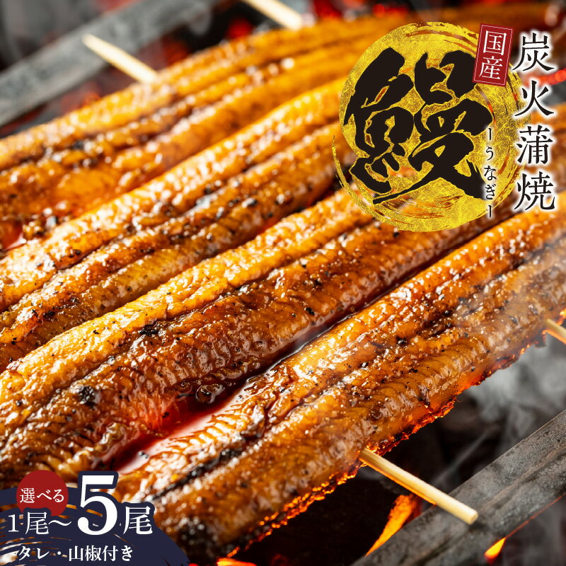 【ふるさと納税】国産 うなぎ 150g×2尾 / 150g×5尾 / 180g×1尾 タレ 山椒 付き 蒲焼き 有頭 数量限定 うなぎ専門店 大門 自慢の逸品 炭火 真空パック うな重 うな丼 ひつまぶし 惣菜 魚介類 魚 冷凍 大阪府 泉佐野市 送料無料