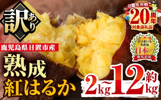 
                  No.560 ＜容量選べる！＞訳あり・不揃い！鹿児島県日置市産さつまいも！熟成紅はるか(約2kg～約12kg) 国産 九州産 サツマイモ さつま芋 訳アリ 紅春香 熟成 芋 焼き芋 やきいも 野菜 スイーツ 常温 常温保存 期間限定【末永商店】
                