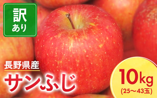 
                  ＜先行受付＞長野県産 サンふじ りんご 家庭用 訳あり 10kg(25～43玉)【1449710】
                