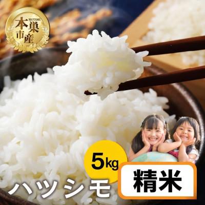 ふるさと納税 本巣市 【新米先行受付】令和8年産 ハツシモ 5kg 精米
