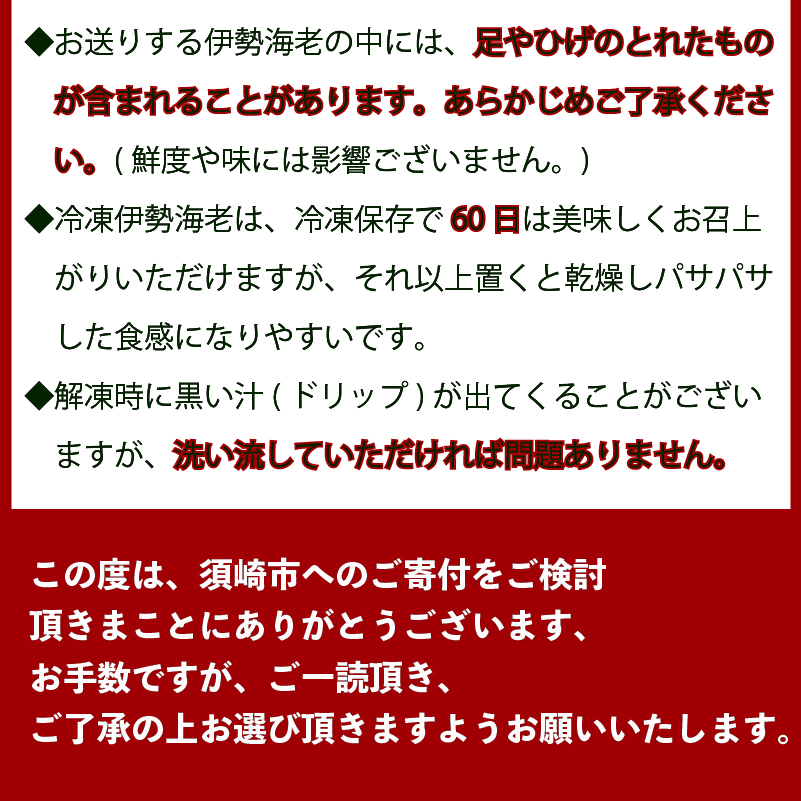 【伊勢海老】 超特大伊勢海老 1匹 1尾(800g以上)