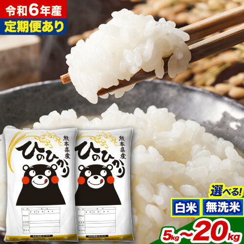 【ふるさと納税】令和6年産 無洗米 も選べる ひのひかり 5kg 10kg 15kg 20kg《7-14日以内に出荷予定(土日祝除く)》令和6年産 高レビュー 熊本県産 ふるさと納税 無洗米 白米 精米 ひの 米 こめ ヒノヒカリ コメ お米 定期便